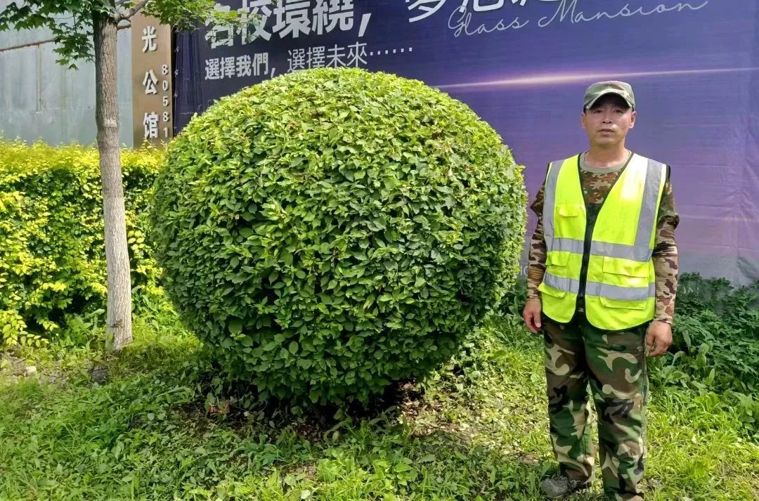 K8·凯发(中国)天生赢家·一触即发